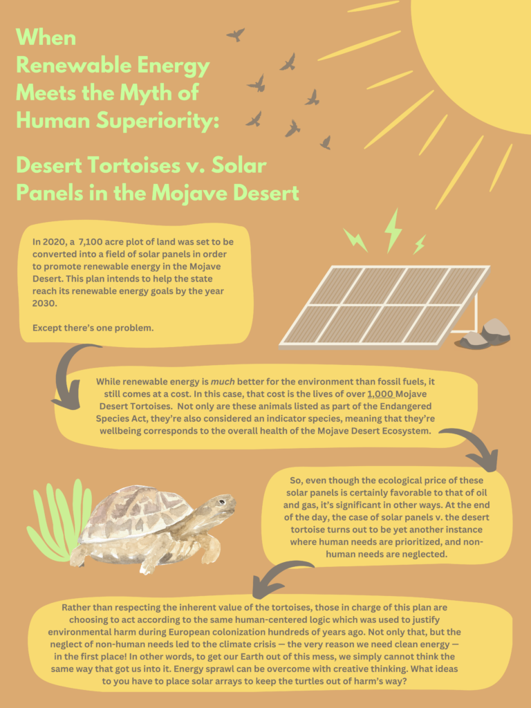 Desert Tortoises vs. Solar Panels in the Mojave Desert Infographic