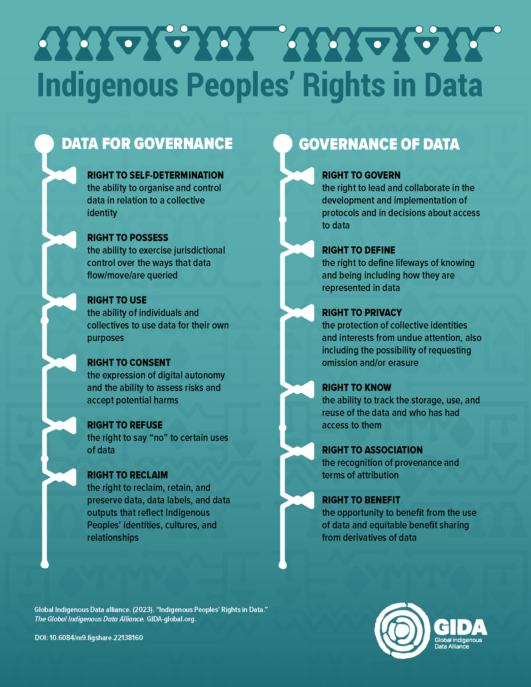 IndigenousPeoplesRightsInDataFinal