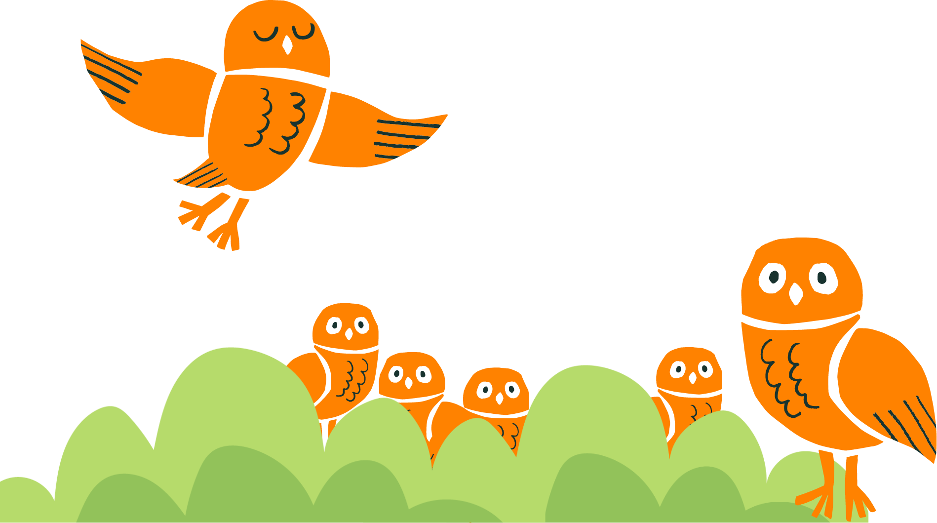 owl-family