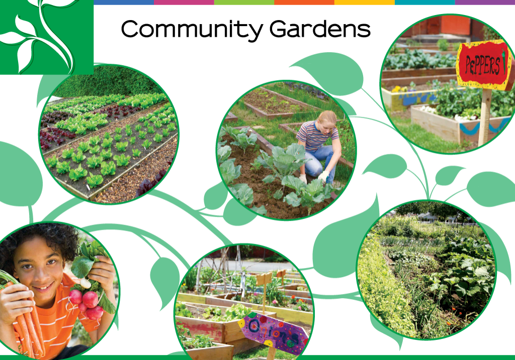 Community Gardens