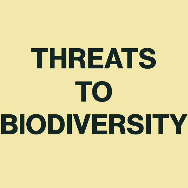 Card with Phrase "Threats to Biodiversity"