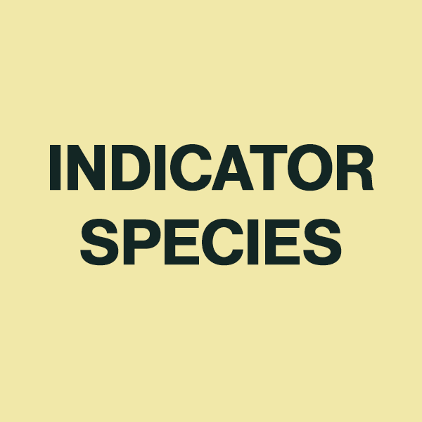 Card with Phrase "Indicator Species"