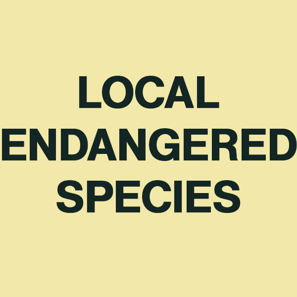 Card with Phrase "Local Endangered Species"